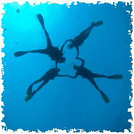 Blue Coral Diveing :: Dive Hoi An, PADI Dive Centre | PADI Discover Scuba Diving
