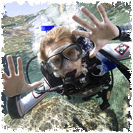 Blue Coral Diveing :: Dive Hoi An, PADI Dive Centre | PADI Discover Scuba Diving