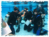 Blue Coral Diving | Professional PADI Dive Centre in Hoi An Vietnam | Pool